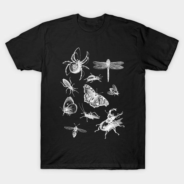 Dramabite Vintage retro scientific bugs insect collection entomologist T-Shirt by dramabite